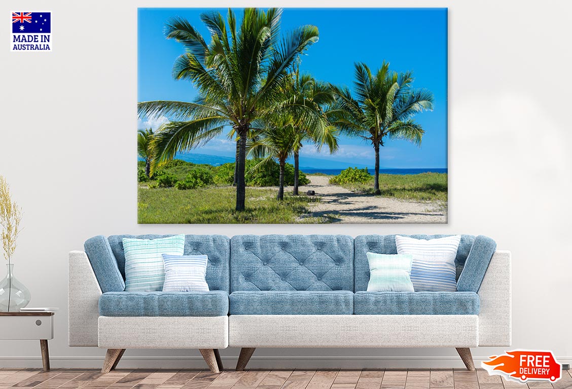 Palm Trees near Sea Photograph Print 100% Australian Made