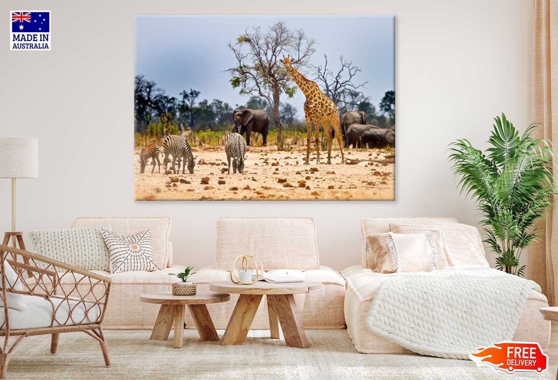 Animals Hwange National Park View Photograph Print 100% Australian Made