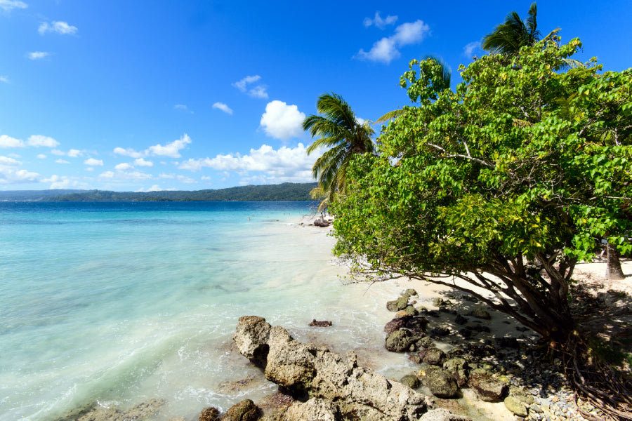 Sandy Lonely Paradise Beach & Tree View Print 100% Australian Made