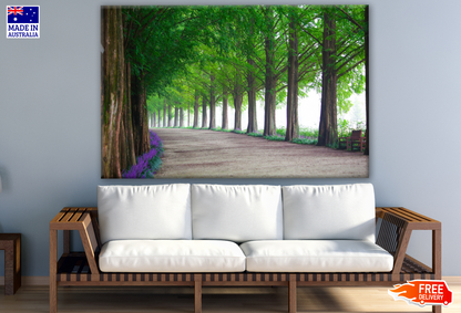 Walkway Among Tree Tunnel Photograph Print 100% Australian Made