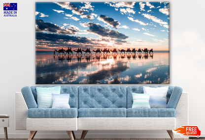 Australian Native Camels Walking along a Beach Photograph Print 100% Australian Made