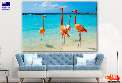 Flamingo Birds on Beach Photograph Print 100% Australian Made