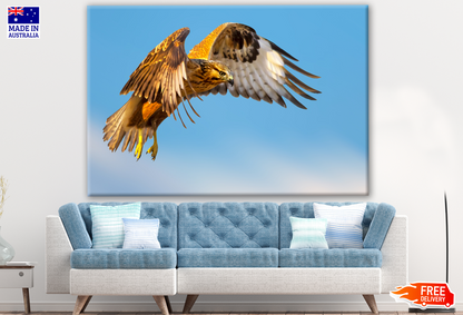 Flying Eagle Photograph Print 100% Australian Made