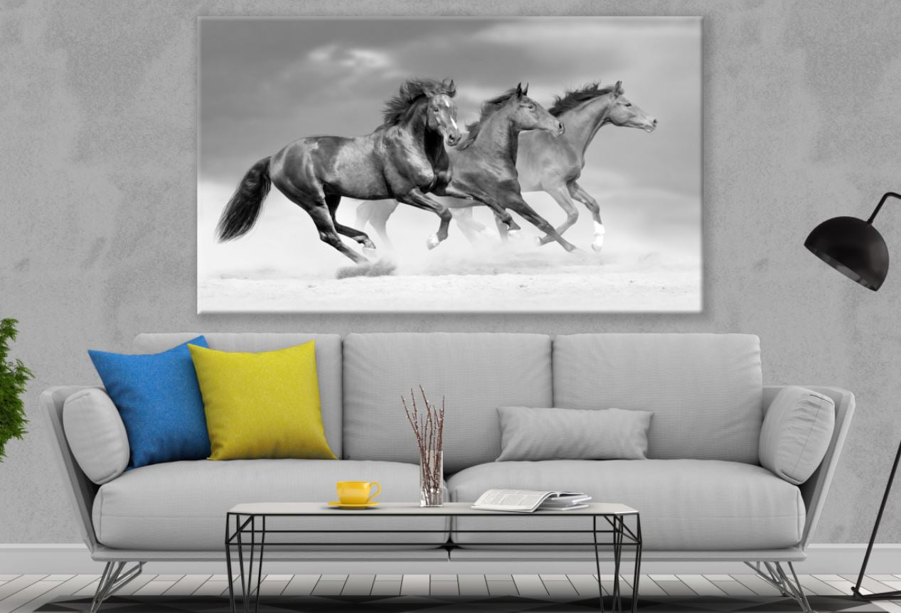 Three Horses Running B&W Print 100% Australian Made