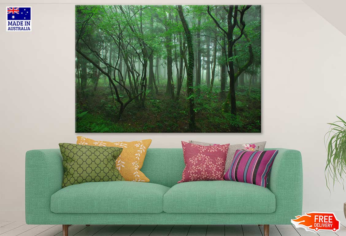 Misty Forest Photograph Print 100% Australian Made