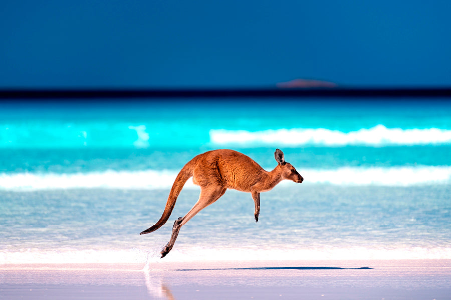 Bella Home Kangaroo jumping Mid Air on Sand Print Canvas Ready to hang