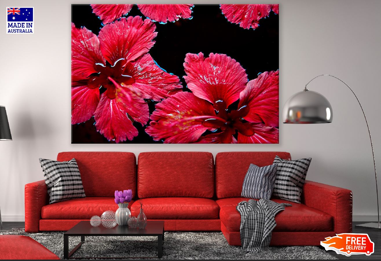 Red Hibiscus Flowers Photograph Print 100% Australian Made
