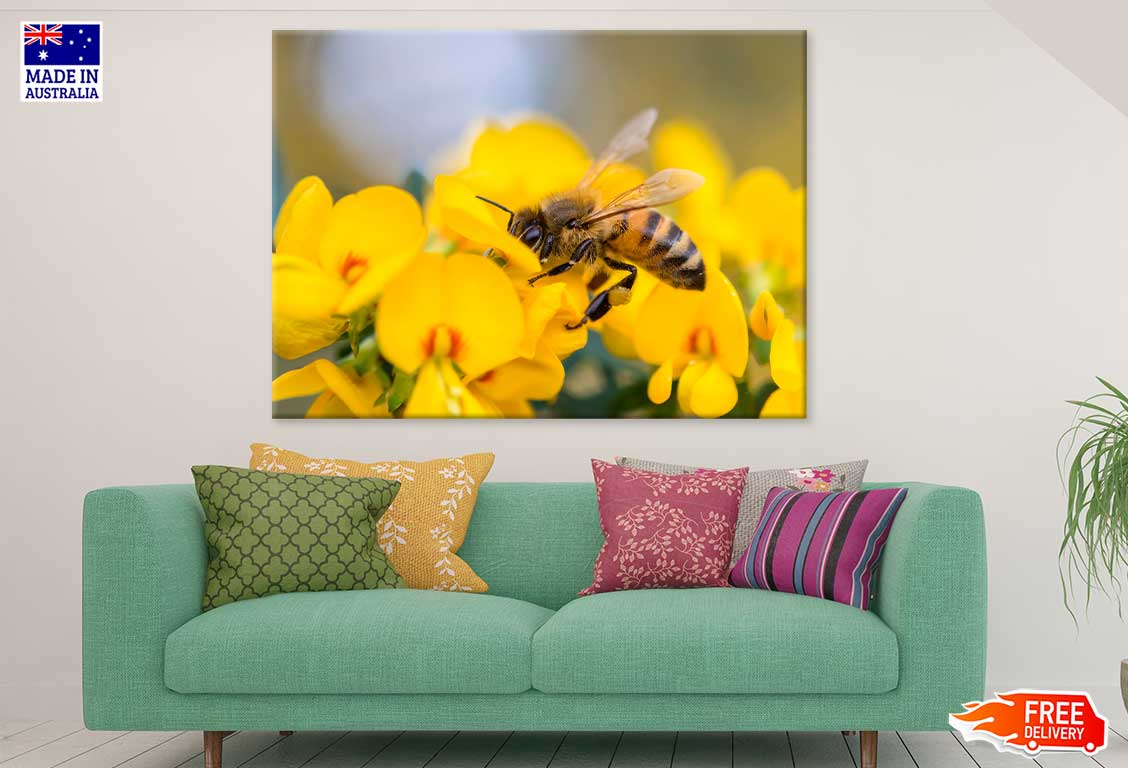 Bee on Flower Closeup Photograph Print 100% Australian Made