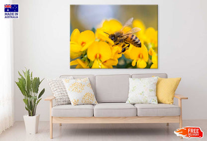 Bee on Flower Closeup Photograph Print 100% Australian Made