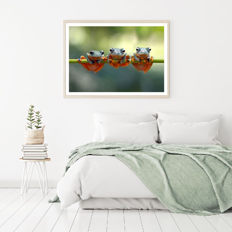 Frogs on Branch Photograph Home Decor Premium Quality Poster Print Choose Your Sizes