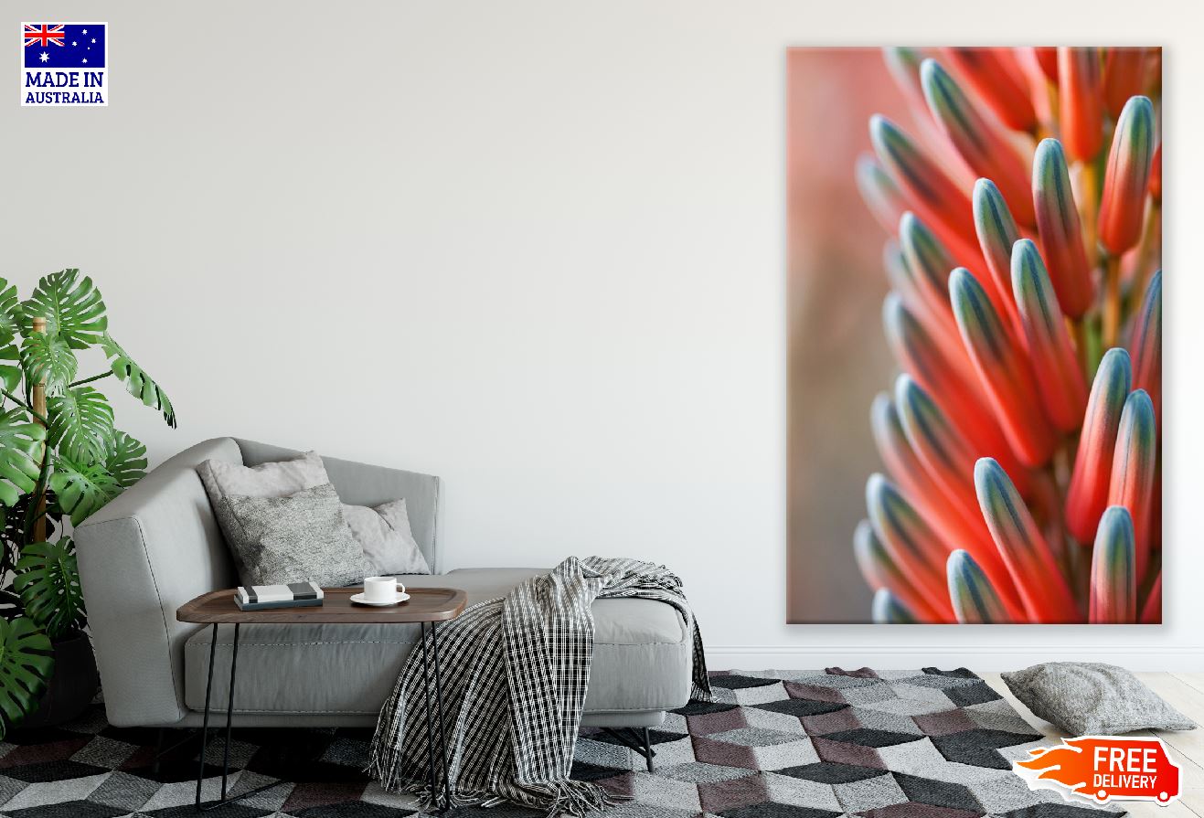 Red Flower Plant Macro Photograph Print 100% Australian Made