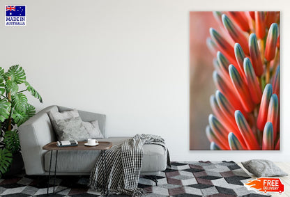 Red Flower Plant Macro Photograph Print 100% Australian Made