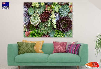 Succulent & Flower Garden View Photograph Print 100% Australian Made