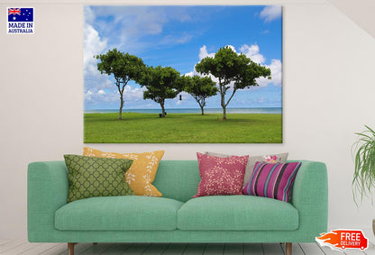 Trees Near Sea Scenery Photograph Print 100% Australian Made