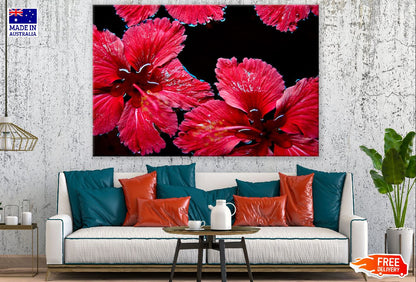Red Hibiscus Flowers Photograph Print 100% Australian Made