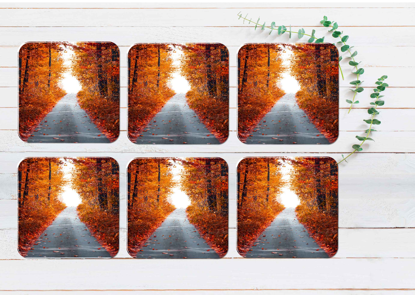 Asphalt Road With Fallen Leaves Coasters Wood & Rubber - Set of 6 Coasters