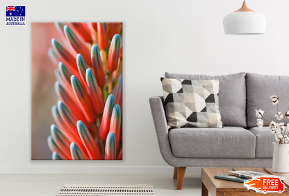 Red Flower Plant Macro Photograph Print 100% Australian Made