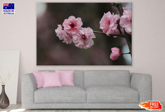 Pink Sakura Flowers View Photograph Print 100% Australian Made
