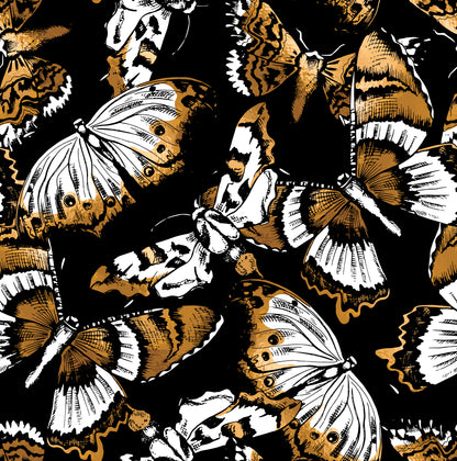 Square Canvas Gold & Black Butterfly Design High Quality Print 100% Australian Made