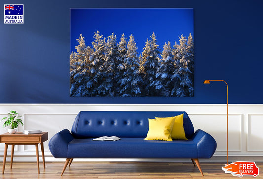 Snow Covered Trees Blue Sky View Photograph Print 100% Australian Made