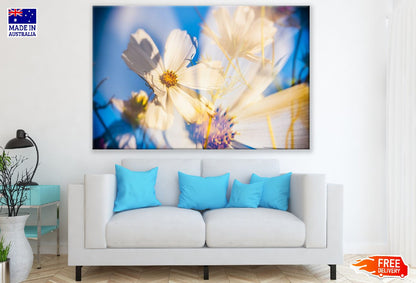 White Cosmea Flower Closeup Photograph Print 100% Australian Made