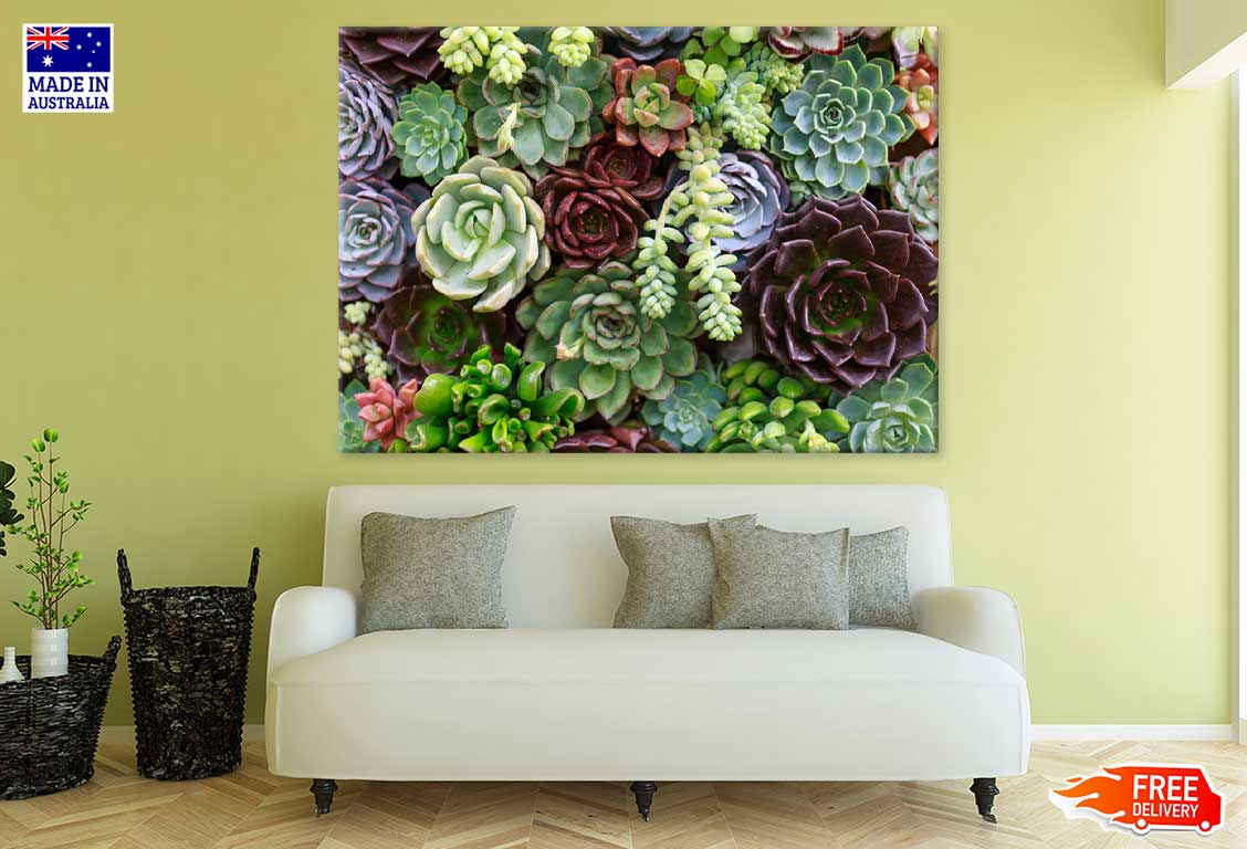 Succulent & Flower Garden View Photograph Print 100% Australian Made
