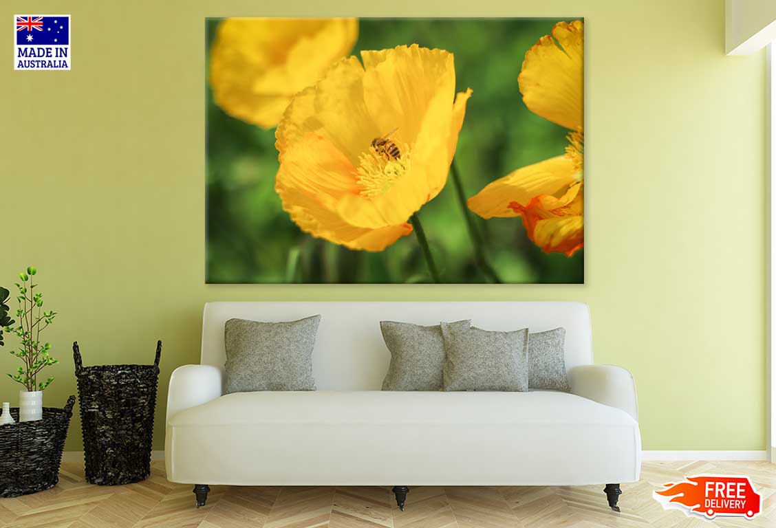 Bee on Yellow Poppy Flower View Photograph Print 100% Australian Made