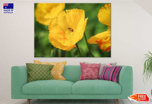 Bee on Yellow Poppy Flower View Photograph Print 100% Australian Made