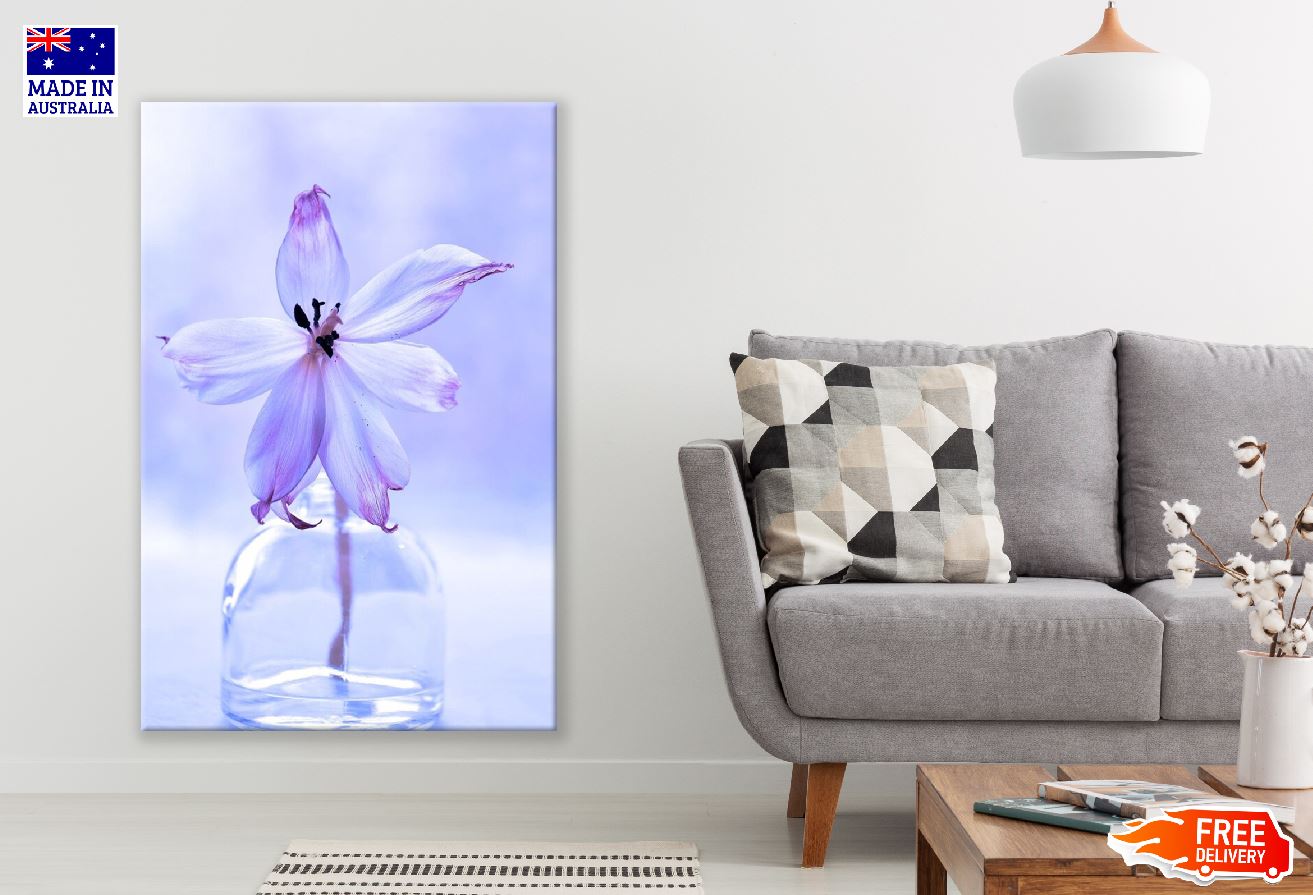 Purple Zephyranthes Flower Closeup Photograph Print 100% Australian Made