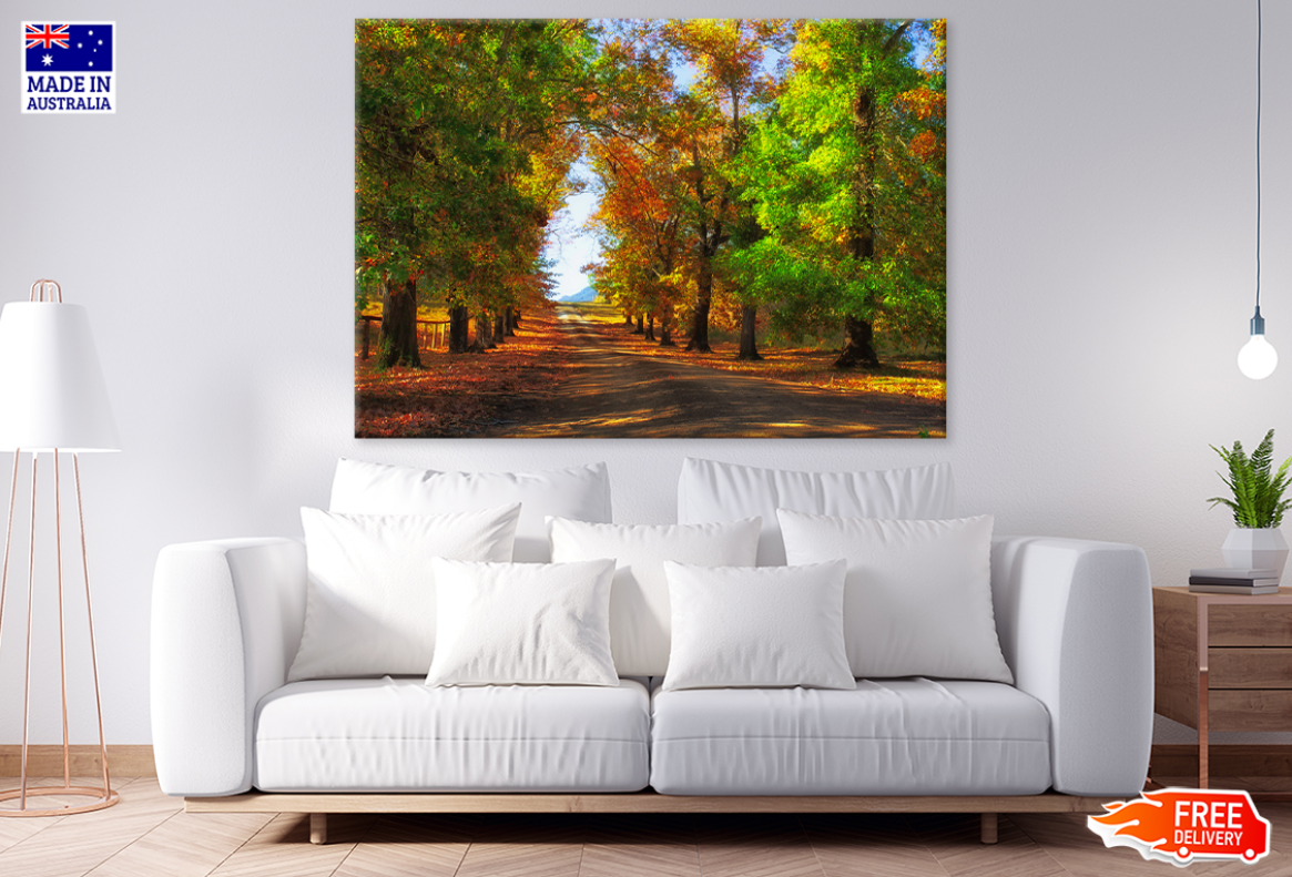 Autumn Trees & Road Photograph Print 100% Australian Made