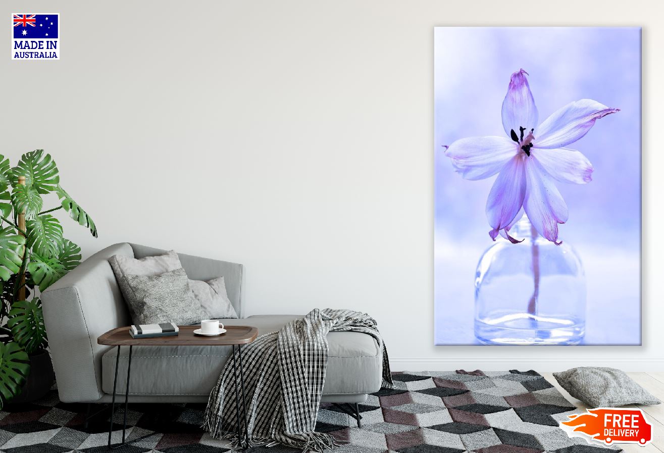 Purple Zephyranthes Flower Closeup Photograph Print 100% Australian Made