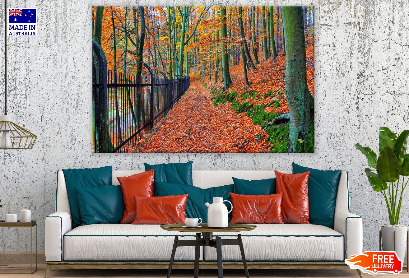 Autumn Bend & Park Trees Photograph Print 100% Australian Made