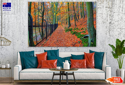 Autumn Bend & Park Trees Photograph Print 100% Australian Made