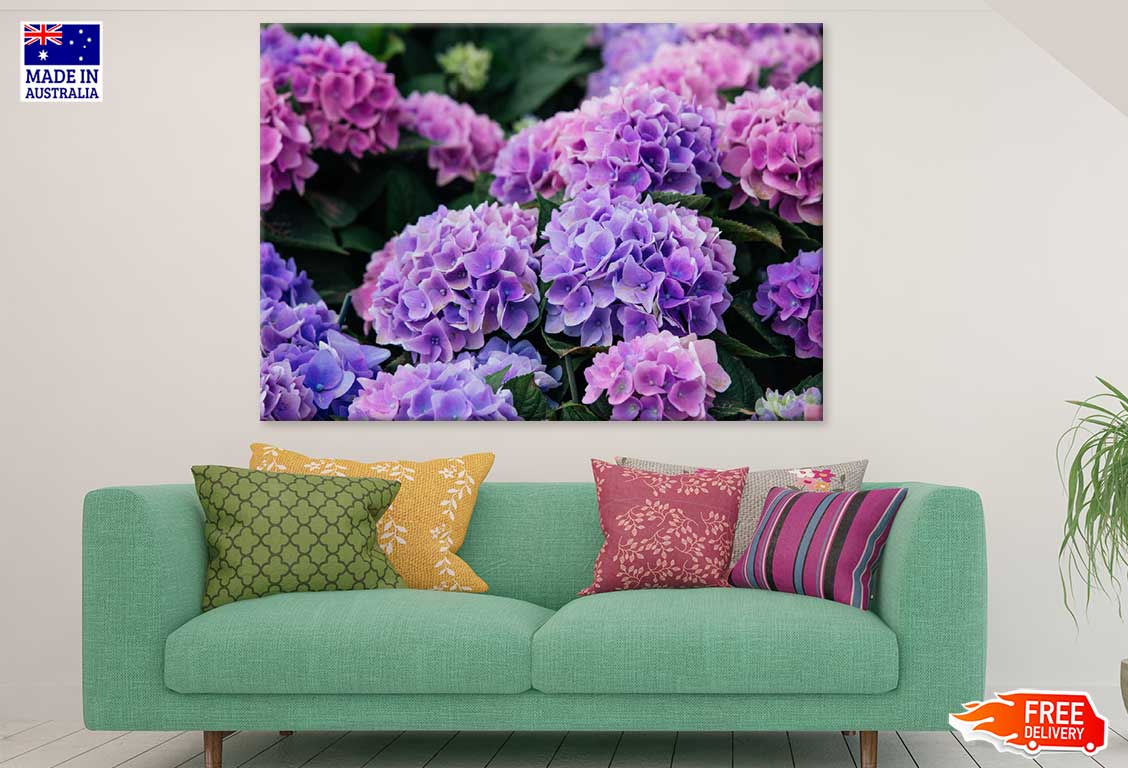 Pink Purple Hydrangea Flowers Photograph Print 100% Australian Made