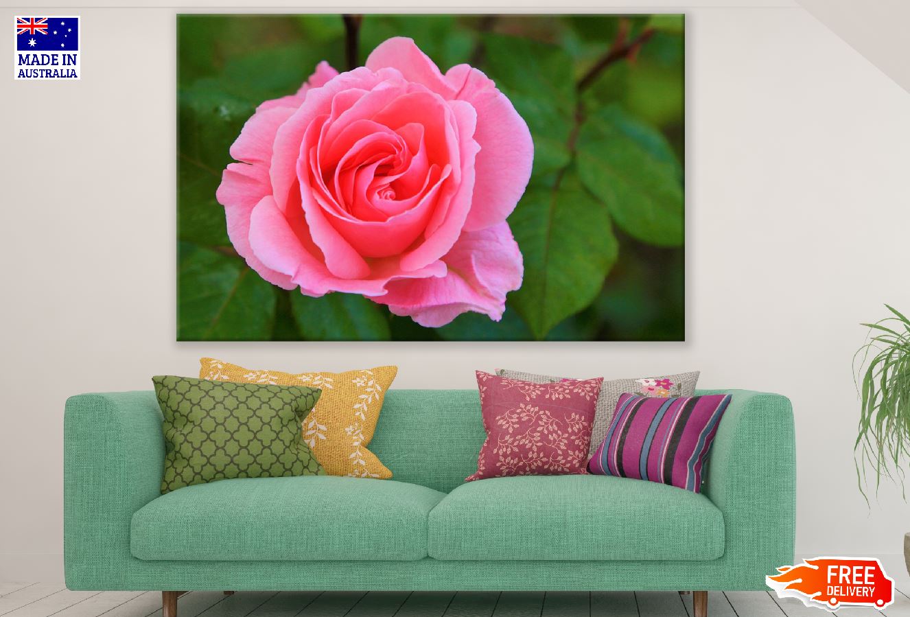 Pink Rose Closeup Photograph Print 100% Australian Made