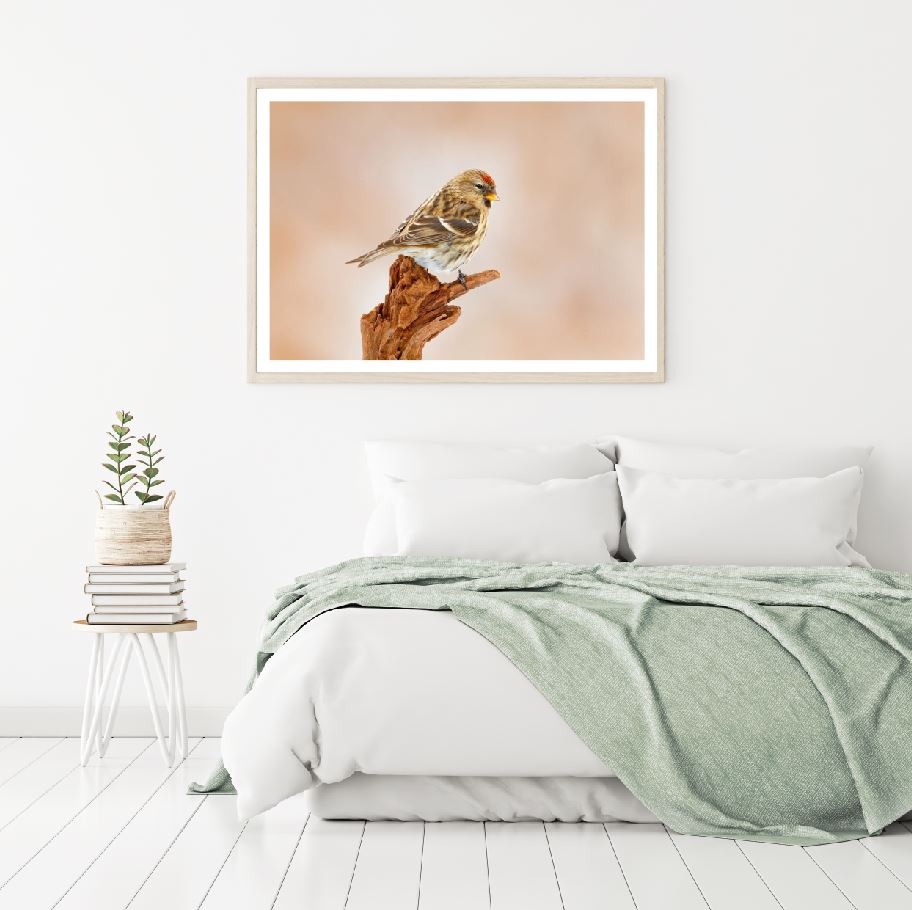 Little Bird on Tree Photograph Home Decor Premium Quality Poster Print Choose Your Sizes
