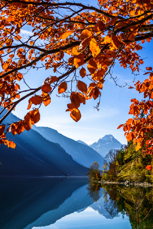 Autumn Plansee Scenery View in Austria Print 100% Australian Made
