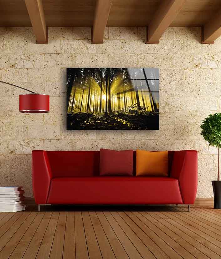 Dark Forest with Yellow Sunrays Photograph Acrylic Glass Print Tempered Glass Wall Art 100% Made in Australia Ready to Hang