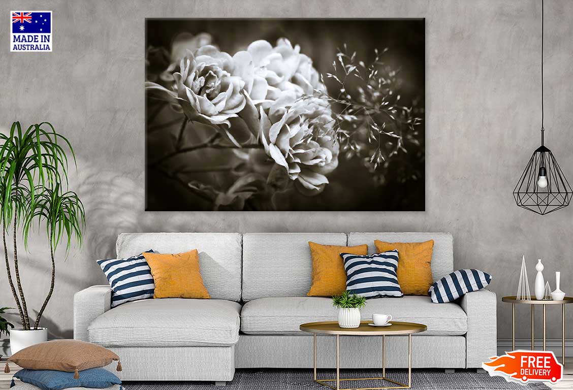 Floribunda Roses B&W Photograph Print 100% Australian Made