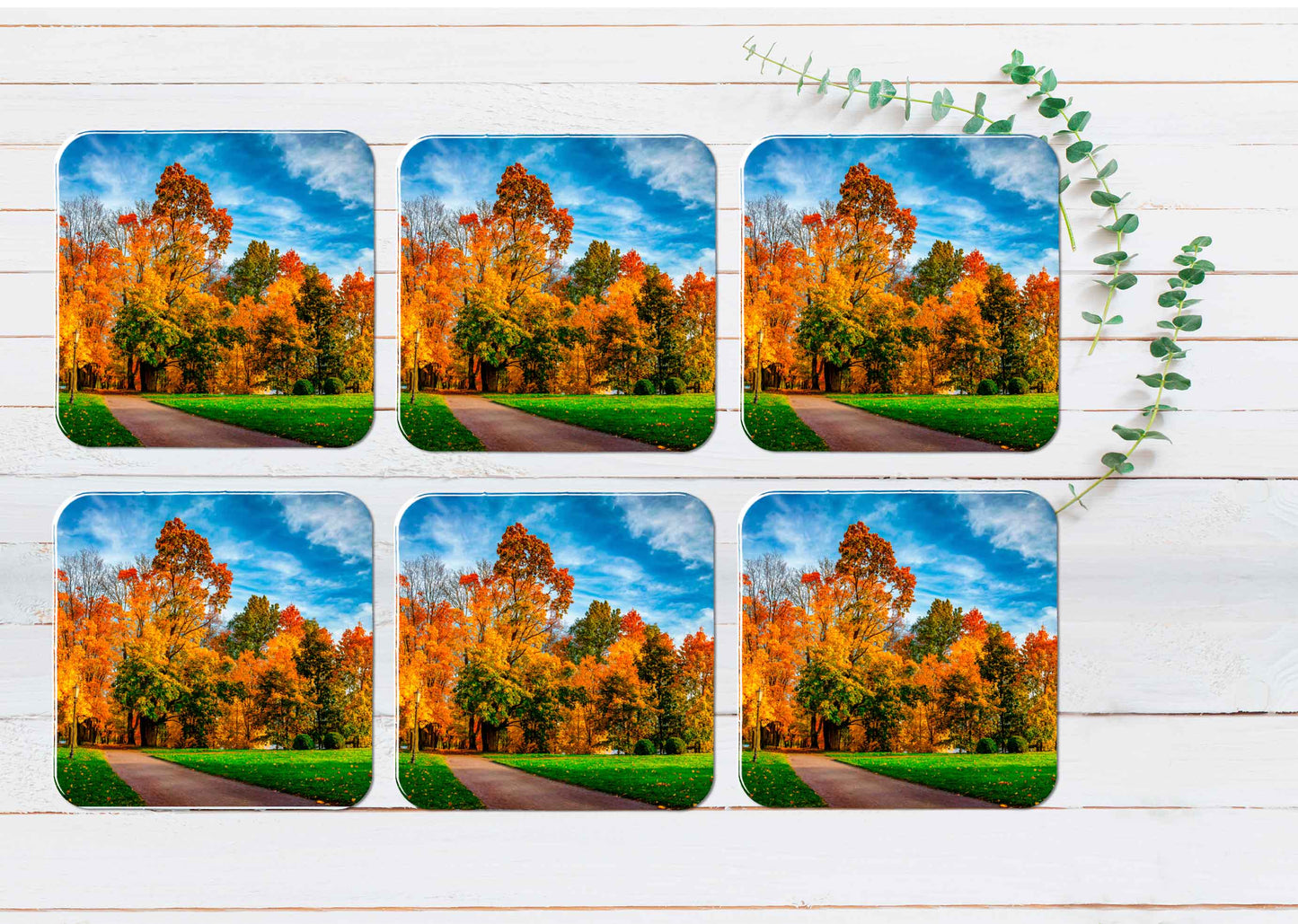 Autumn Park in Sunny Bright Day Coasters Wood & Rubber - Set of 6 Coasters