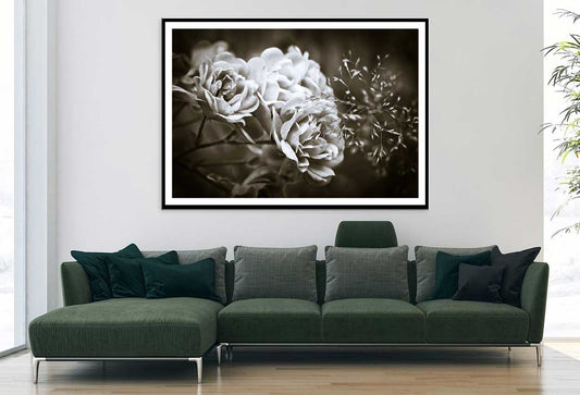 Floribunda Roses B&W Photograph Home Decor Premium Quality Poster Print Choose Your Sizes