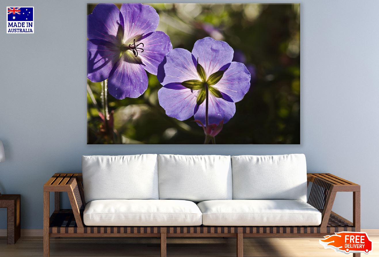 Purple Cranesbill Flowers Photograph Print 100% Australian Made