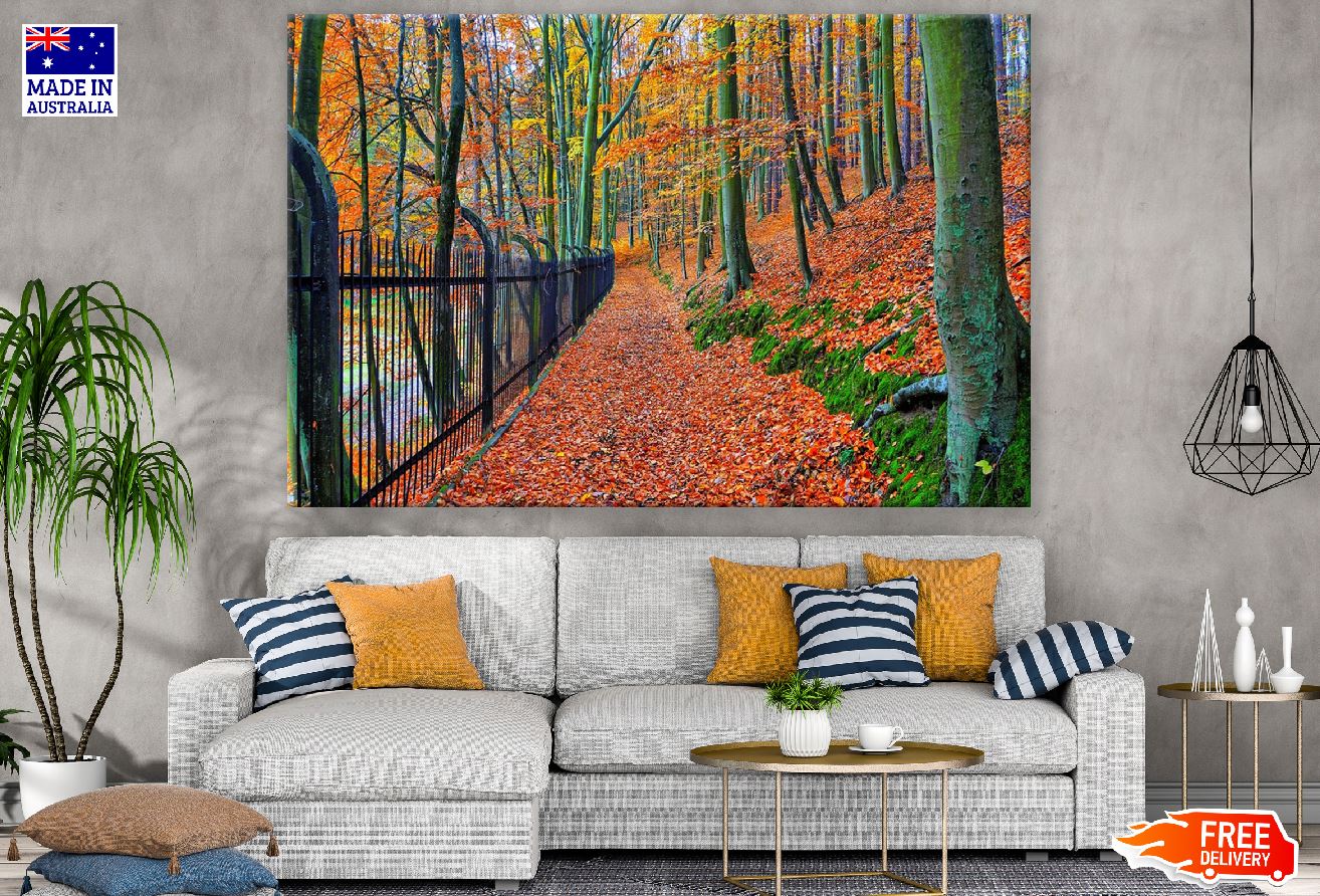 Autumn Bend & Park Trees Photograph Print 100% Australian Made