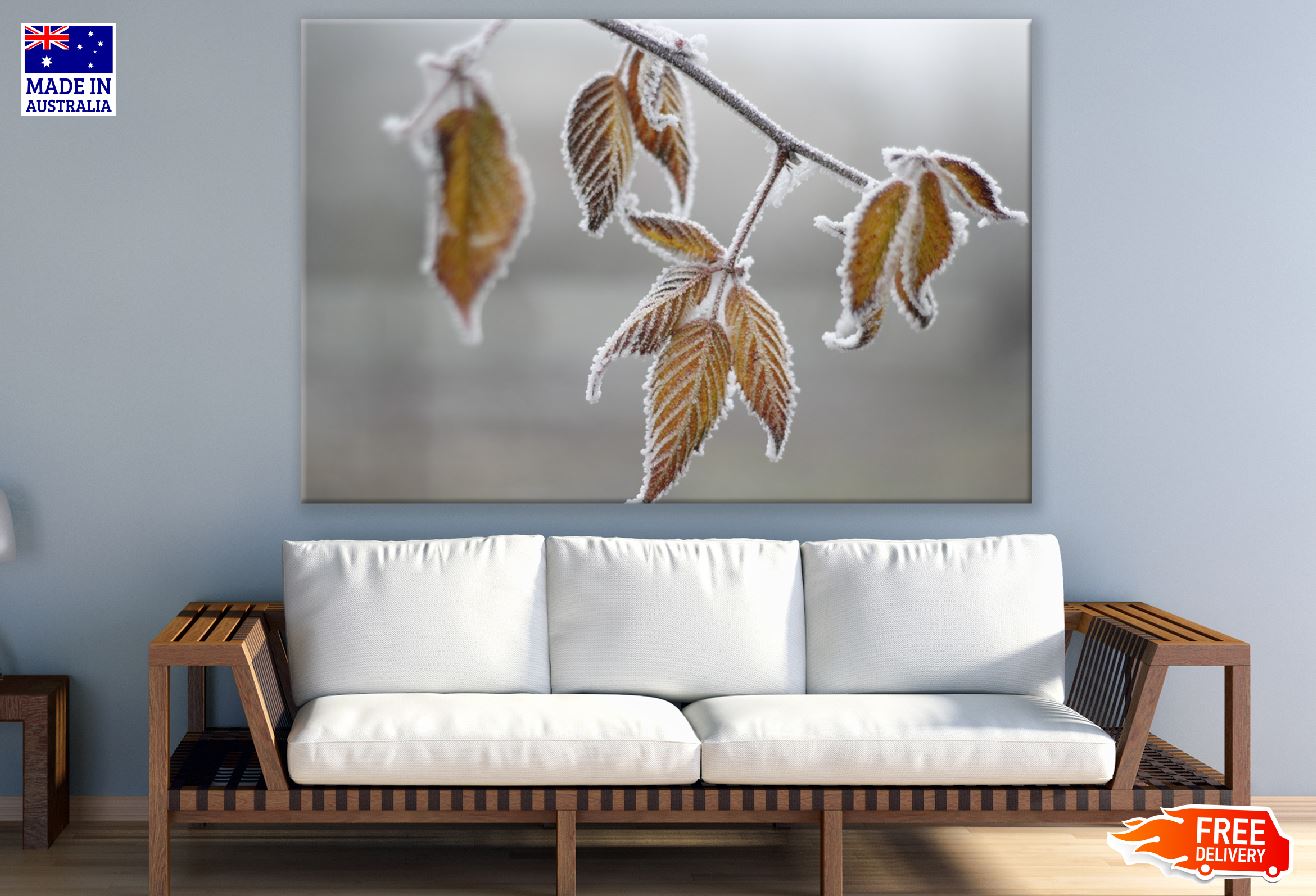 Cold Leaf Frost Photograph Print 100% Australian Made