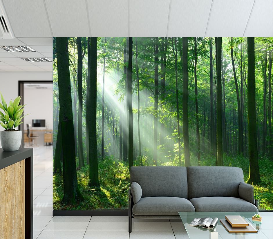 Wallpaper Murals Peel and Stick Removable Deep Forest High Quality