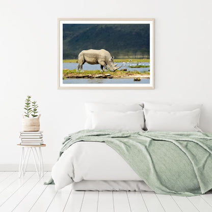 Rhino Near River Closeup Photograph Home Decor Premium Quality Poster Print Choose Your Sizes