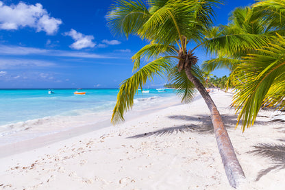 Palm Trees on Saona Island Sea View Photograph Print 100% Australian Made