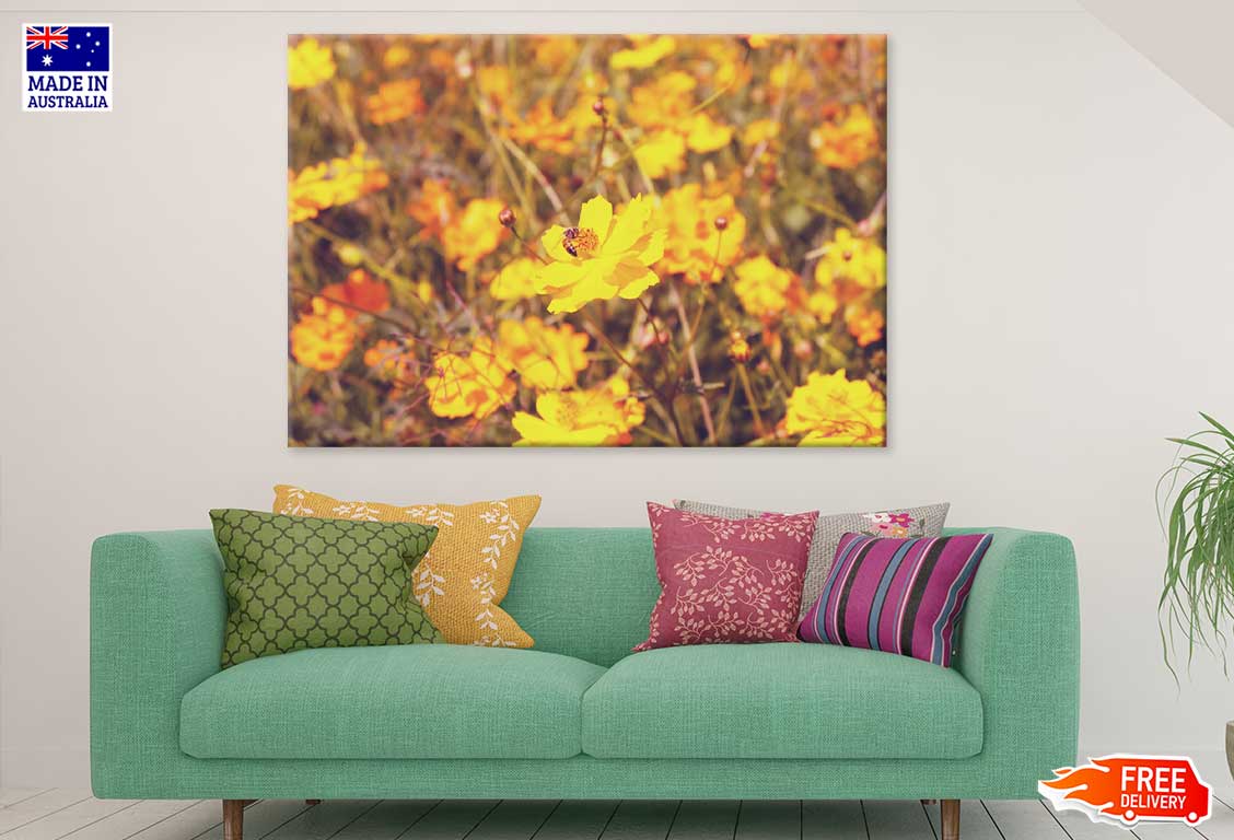 Yellow Cosmos Flower Field View Photograph Print 100% Australian Made