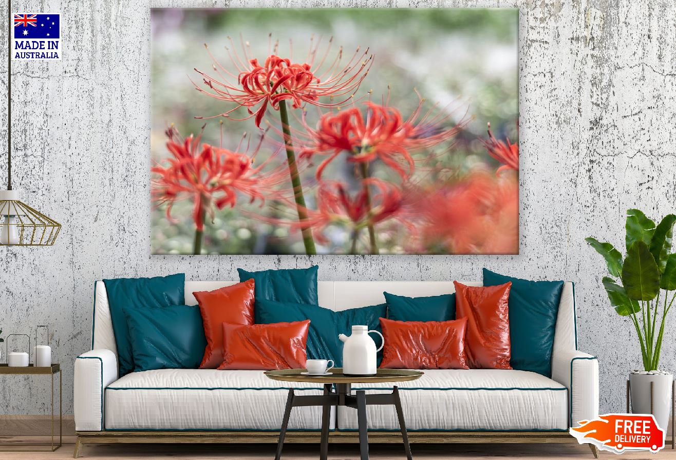 Red Spider Lily Flowers Photograph Print 100% Australian Made