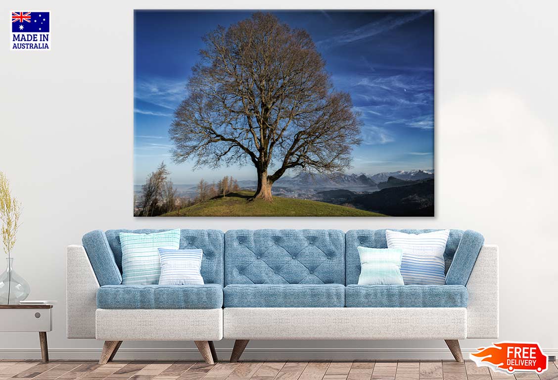 Huge Tree on Mountain Photograph Print 100% Australian Made